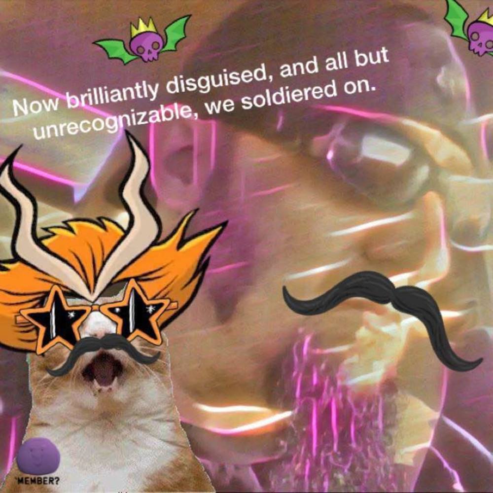 Meet your Posher, Rico